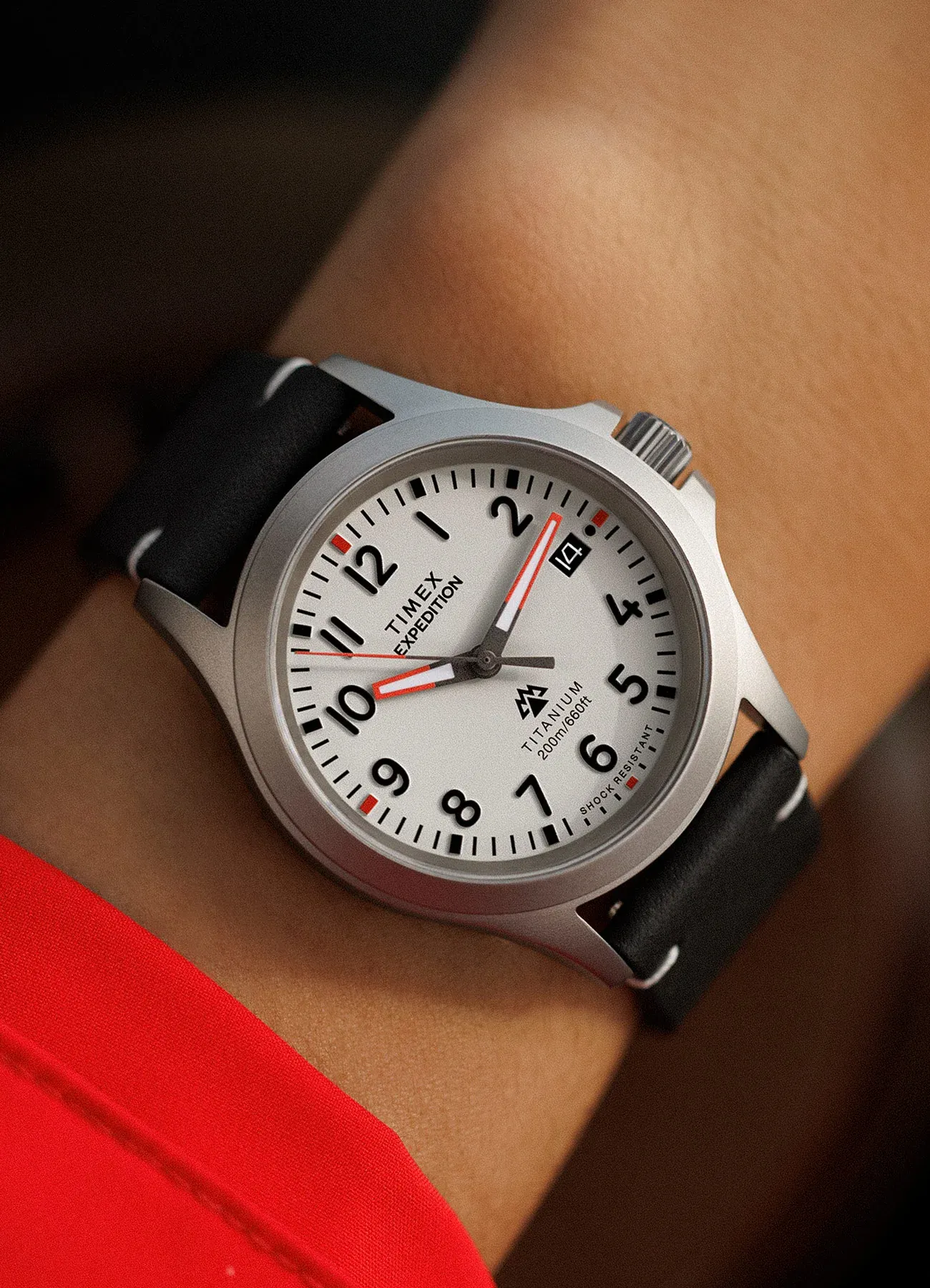 Timex Expedition North Titanium Gray Dial Watch